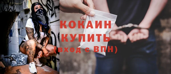 шишки Арсеньев