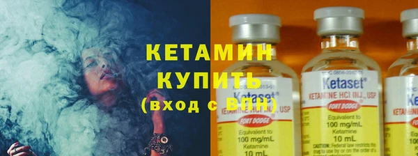 шишки Арсеньев