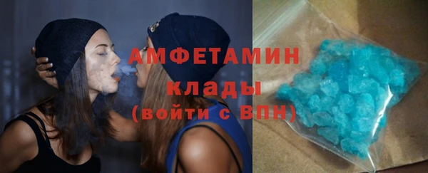 шишки Арсеньев