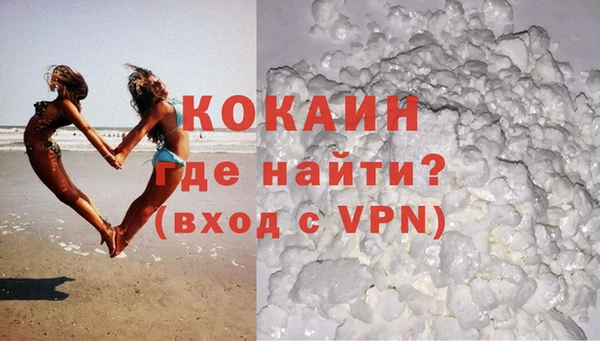 шишки Арсеньев