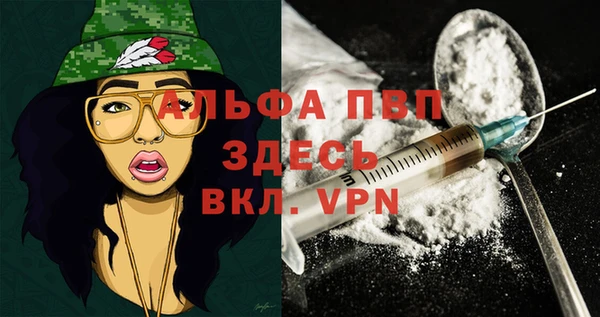 шишки Арсеньев