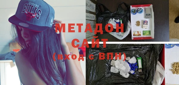 шишки Арсеньев