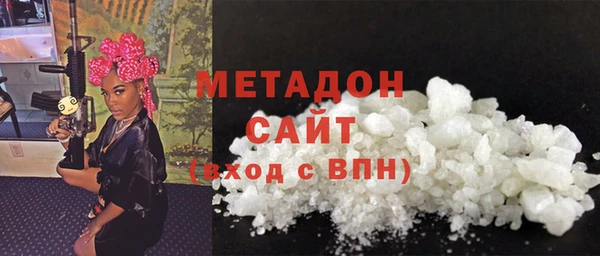 шишки Арсеньев