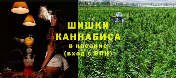 шишки Арсеньев