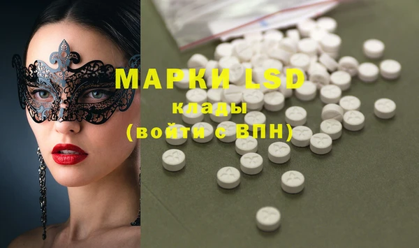 шишки Арсеньев