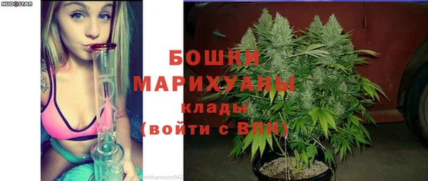 шишки Арсеньев