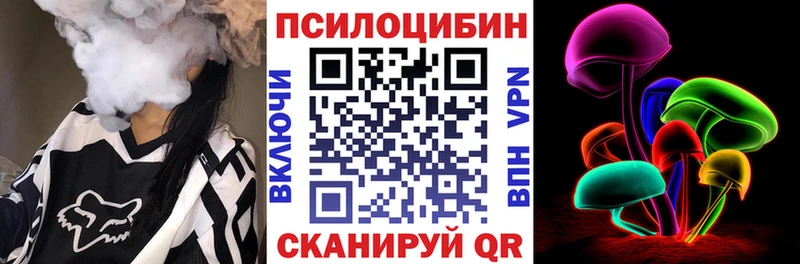 закладка Грязи Псилоцибиновые грибы Cubensis